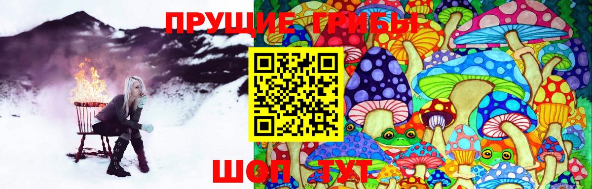 Чистополь  Галлюциногенные грибы мицелий  Вход с VPN 